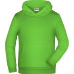 Sweat-Shirt classique à capuche Enfant brodé personnalisé coton polyester - JN796K